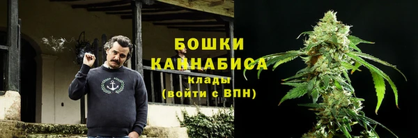 ПСИЛОЦИБИНОВЫЕ ГРИБЫ Осташков