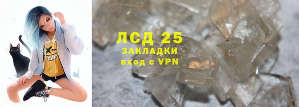 ПСИЛОЦИБИНОВЫЕ ГРИБЫ Осташков