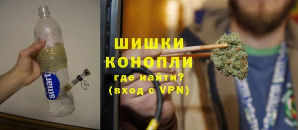 ПСИЛОЦИБИНОВЫЕ ГРИБЫ Осташков