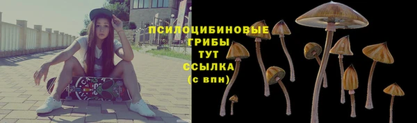 амф Нязепетровск