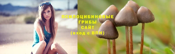 амф Нязепетровск