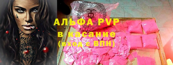 ПСИЛОЦИБИНОВЫЕ ГРИБЫ Осташков