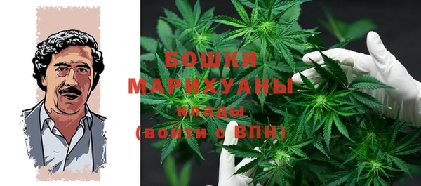 ПСИЛОЦИБИНОВЫЕ ГРИБЫ Осташков