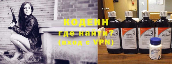 ешки Няндома
