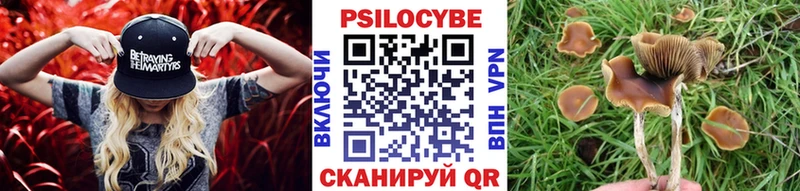 Галлюциногенные грибы прущие грибы  Пойковский 