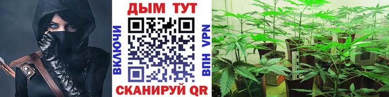 hydra tor  Пойковский  Бошки Шишки SATIVA & INDICA 